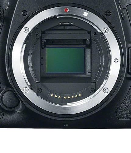 Amazon.com : Canon EOS 7D Mark II Digital SLR Camera (Body Only